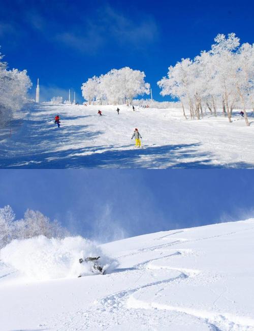 去滑雪胜地出发前一定要记牢这些