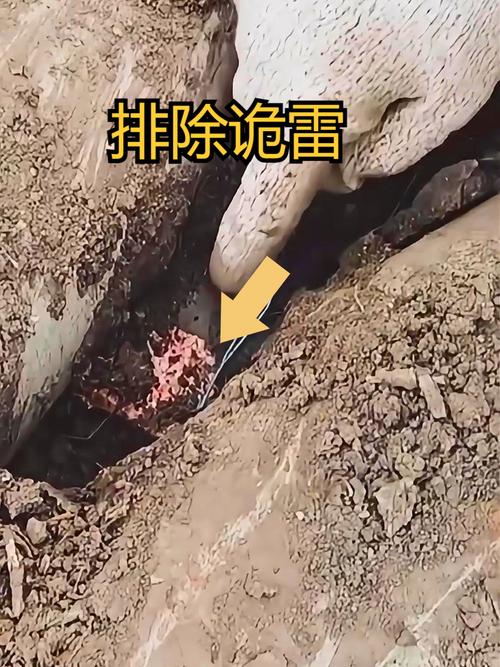 真正的防身，是提前拆掉暗雷