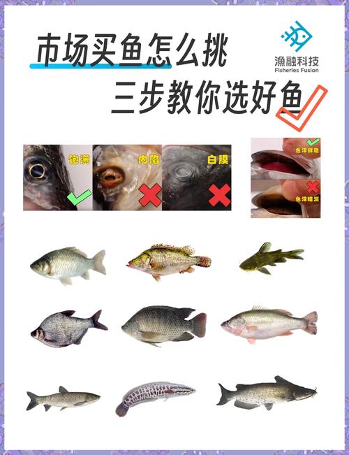 五、服务商市场鱼龙混杂,怎么选?