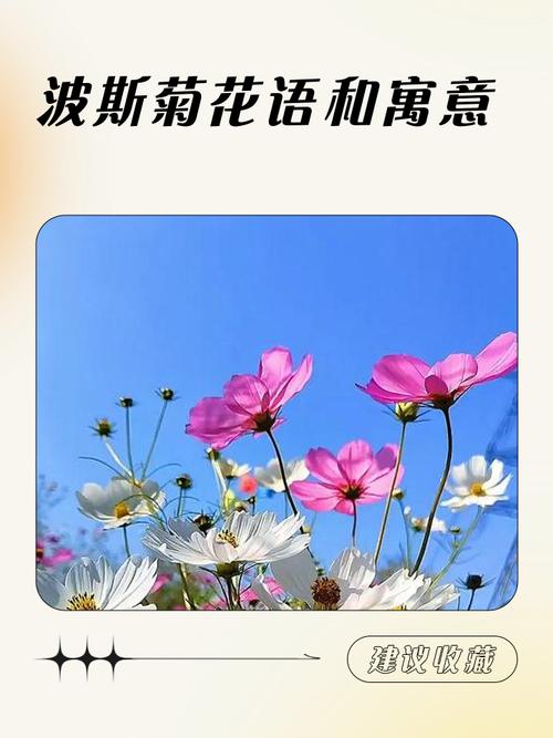 从波斯到你的朋友圈:花语的“帝国重构”
