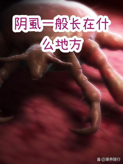 它真正能用在什么地方