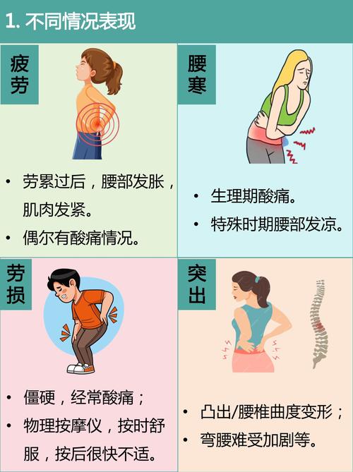 连续做家务腰酸背痛示意图