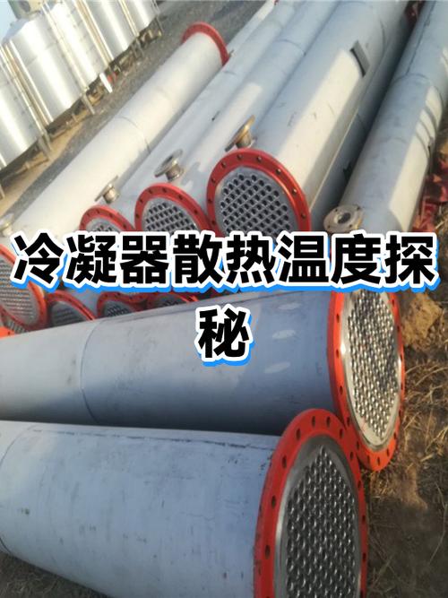 汽车冷凝器缝隙塞满杨絮蚊虫尸体的实拍图