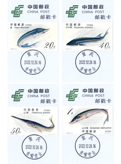 当邮戳成为时间的坐标