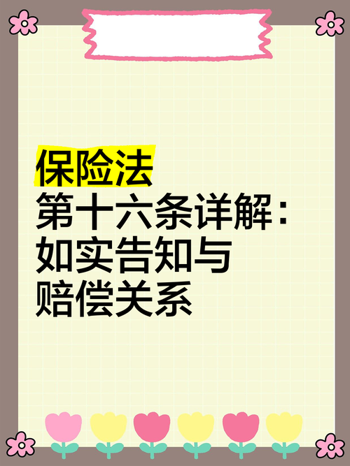 保险法第十六条官方条文原文