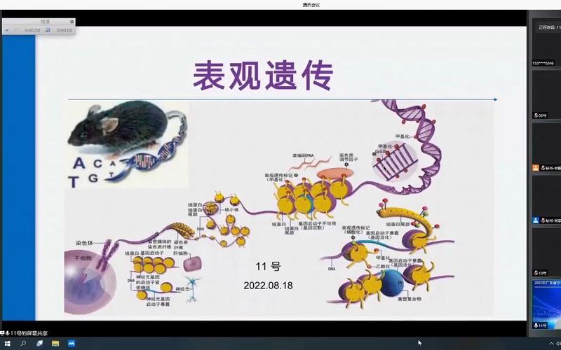 表观遗传重编程逆转小鼠年龄实验图