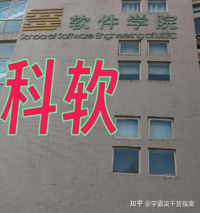 外包的代价:我们正亲手制造“空心”学霸