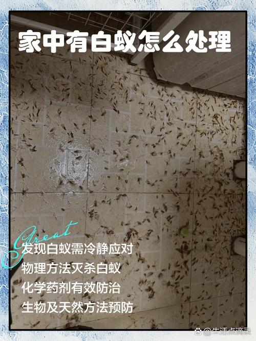 挑选白蚁防治相关法律纠纷律所的硬核评判标准