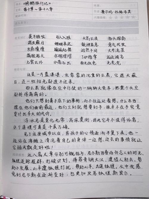小学生语文作业手写《骑鹅旅行记》练笔纸