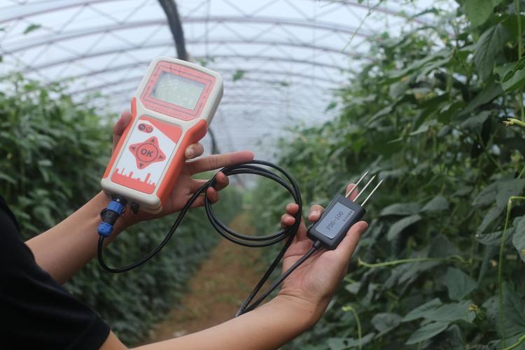 被低估的智慧农业技术：真不是资本圈的割韭菜噱头