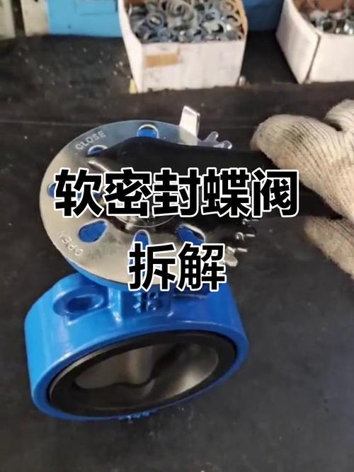 蝶阀密封圈更换现场操作示意图