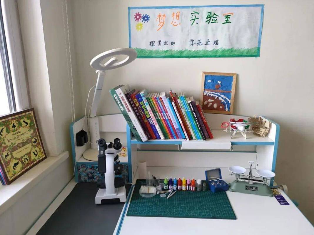 现在我的家像个实验室