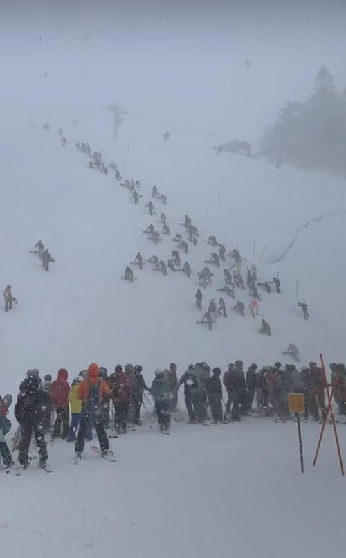 日本滑雪场缆车排队人群