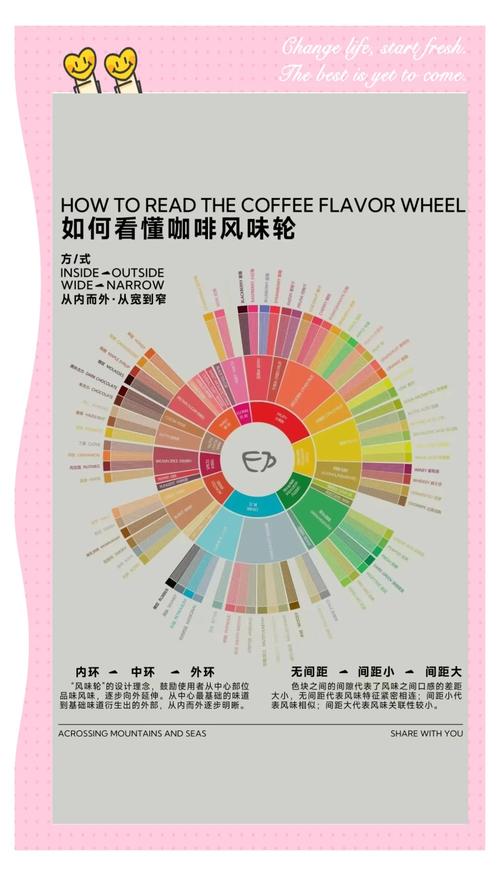 咖啡风味轮完整高清图