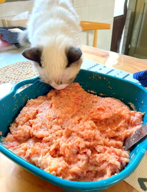 主人在家分装冷冻自制猫饭场景