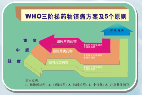 个体奶茶店动态阶梯利益分配计算表