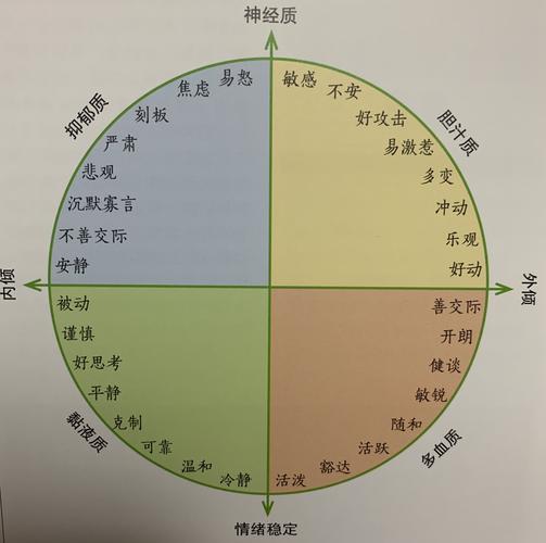 慢维度里，藏着普通人的基本盘