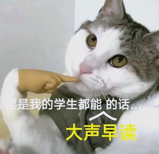 小学生僵硬背诵国学经典表情呆滞