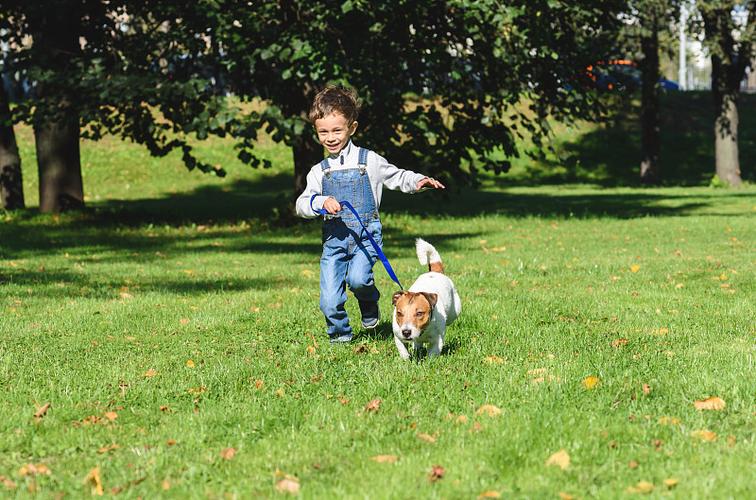 主人牵幼犬在干净小区草坪接触新环境