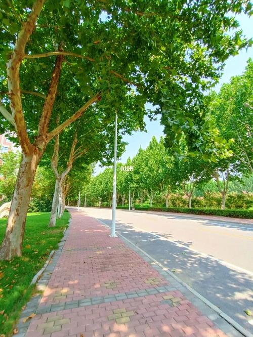 小学门口花坛放学步行小路实拍
