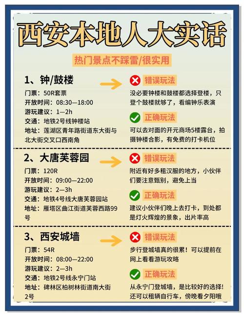 避坑实操：从选导游到撕逼全攻略