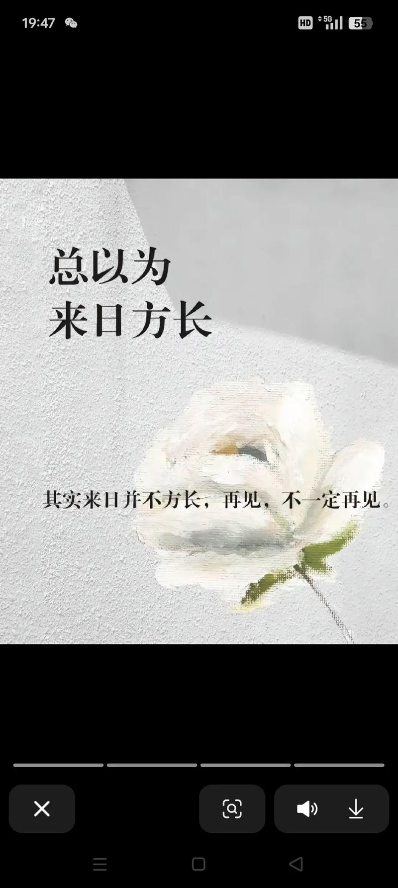 四、Day 3：告别日——用“仪式感”把治愈打包带走