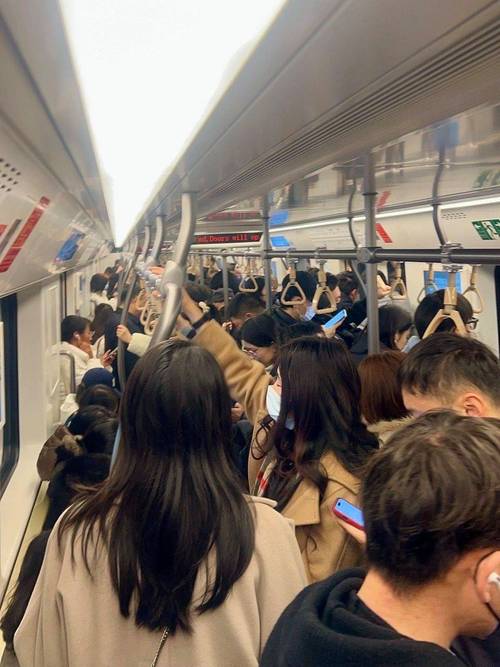 地铁上低头刷短视频的人群拥挤