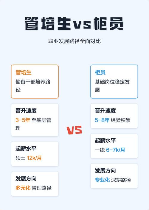 管培生职业发展路径对比图