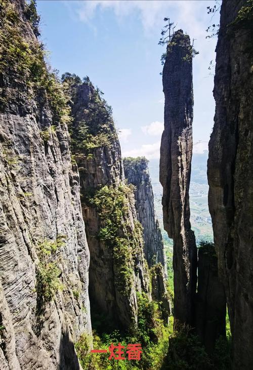 恩施大峡谷清晨雾绕一炷香景观