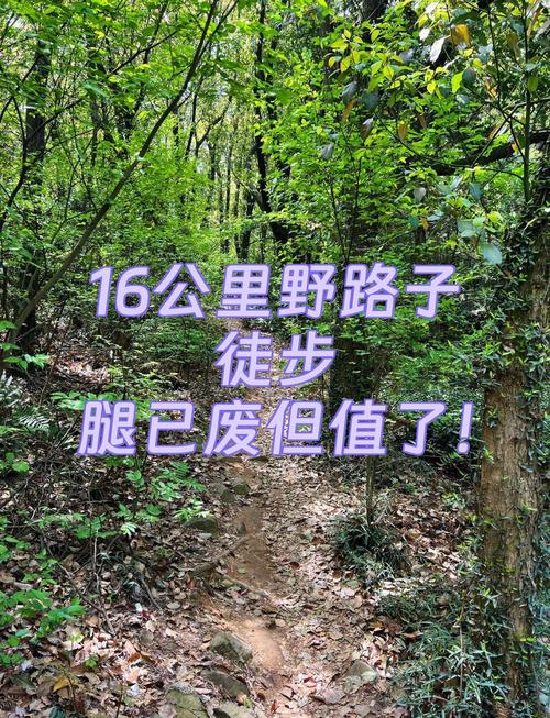 我试过的那些野路子,大部分都废了