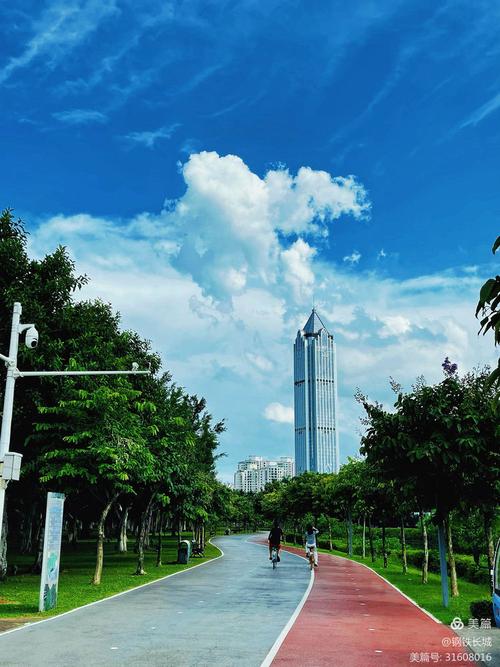 万绿园:早晨7点的黄金机位
