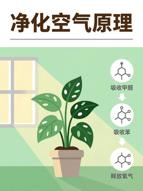 你以为它只是抽空气？其实它在造环境