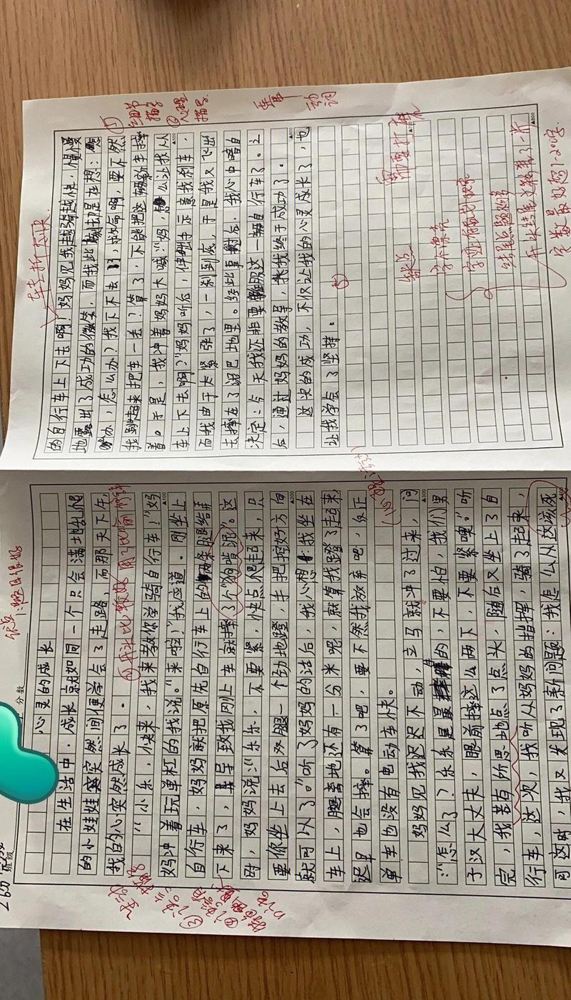 初中语文议论文批改手写痕迹作业纸