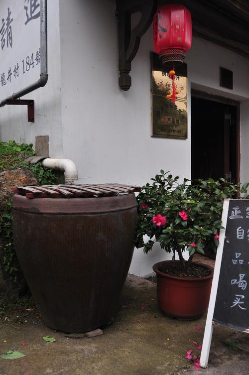 西安老院子桂花树下埋的酿酒陶缸