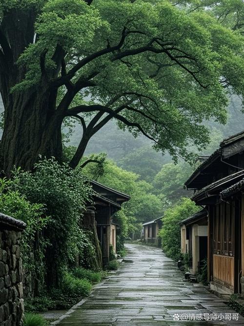 慢逛丽江古城：滇西温柔烟火行-南漳旅游