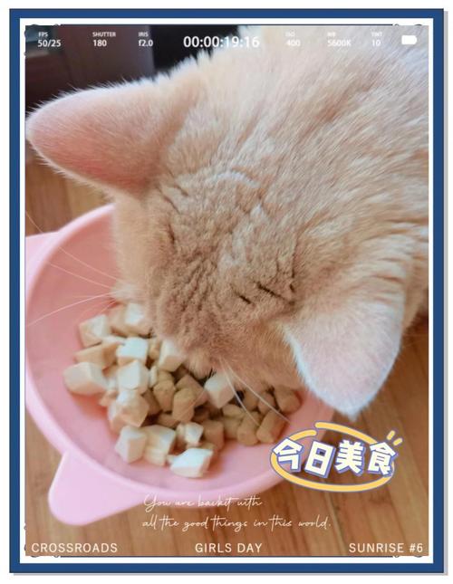 2. 真正值得吃的平替：性价比之王