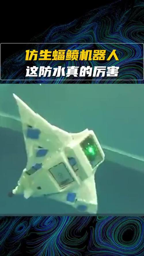 仿生蝠鲼水下机器人水池测试实拍