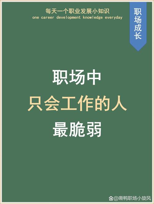 求职失败的启发，比成功经验更值钱