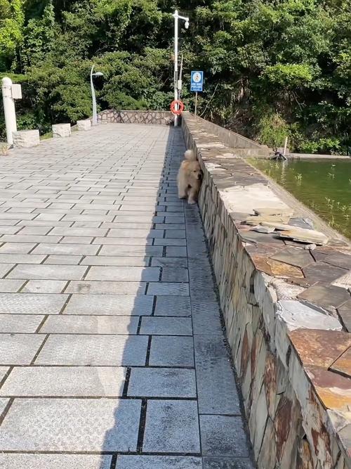 躲太阳躲出来的偶遇