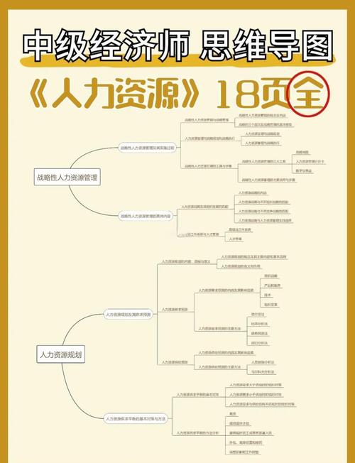 中年人通过在线学习更新人力资本