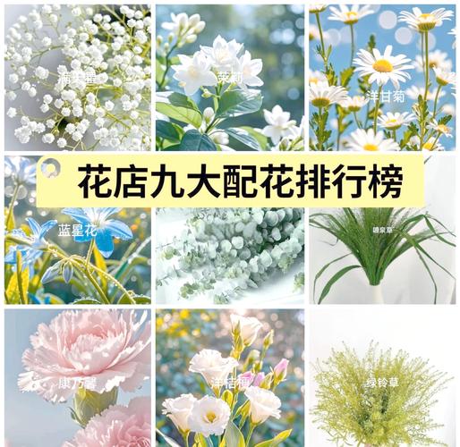 那些花不了几块钱的好用小搭配