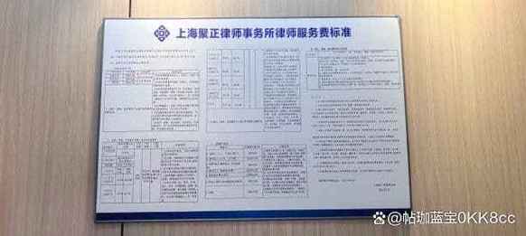 上海离婚律所律师和当事人在会议室核对财产分割清单