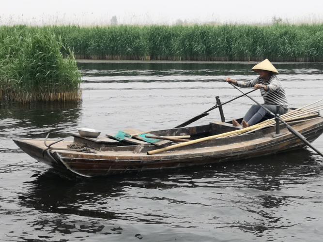白洋淀苇荡水道摇橹船