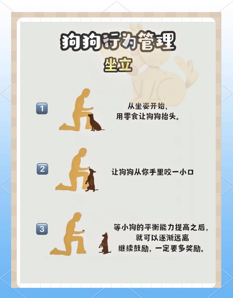 主人侧身弯腰叫狗名字狗跑回来的训练动作