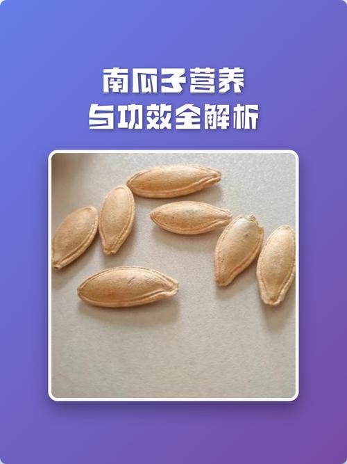原味烤南瓜子益肾锌元素营养图