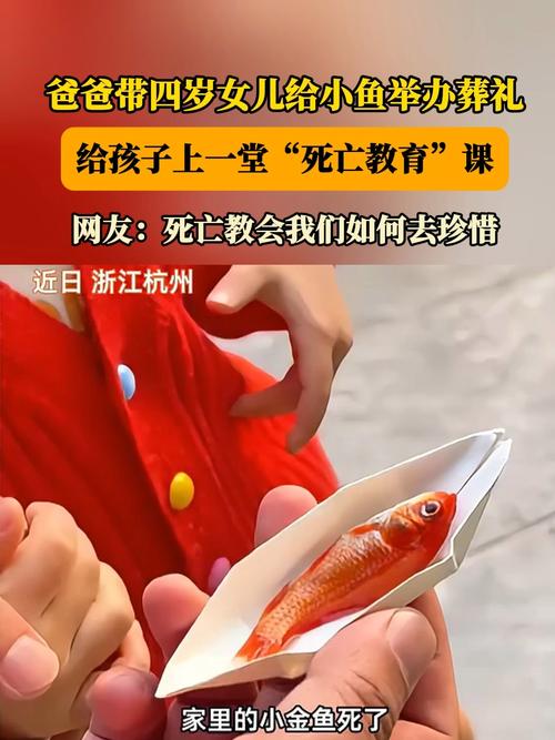幼儿园孩子为宠物金鱼举行葬礼