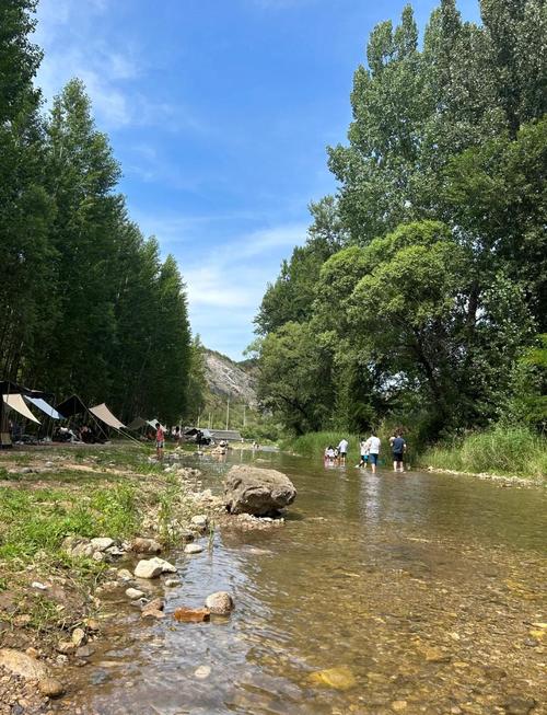 湖北南漳漳河浅滩露营树荫场景