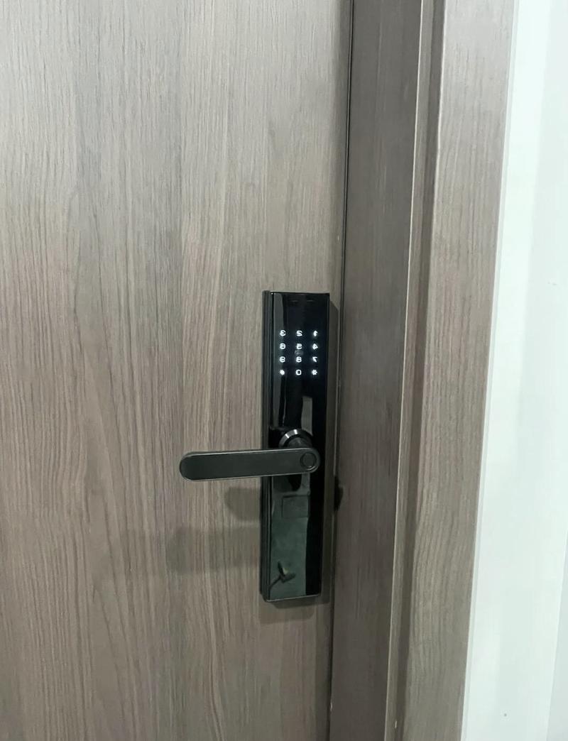 家装入户门智能门锁安装实景图