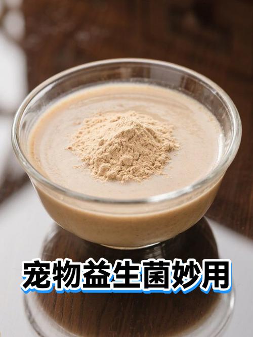 宠物益生菌粉剂倒在40度温水中的溶解状态