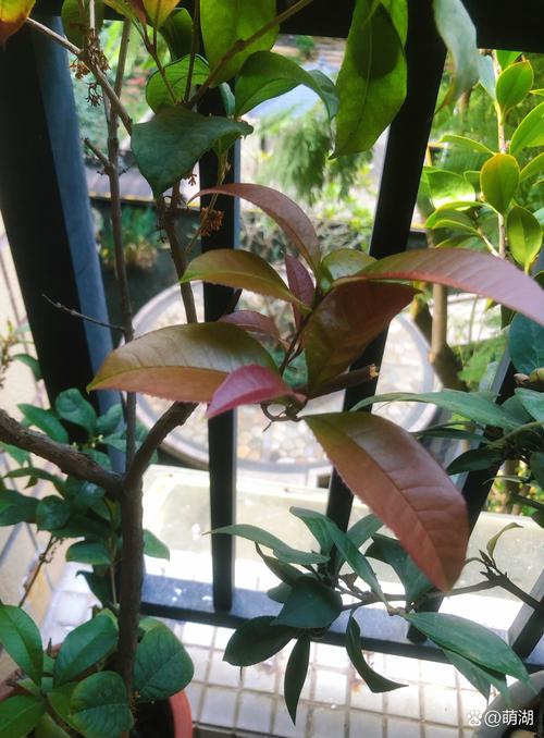 传承：老书场里长出新枝桠
